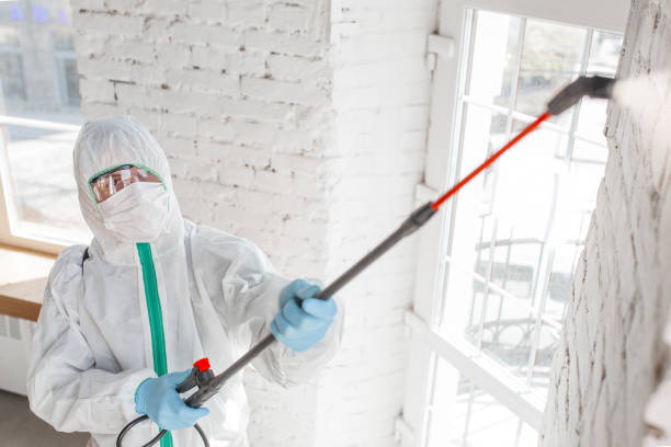 Best Emergency Mold Remediation  in Hanover Park, IL