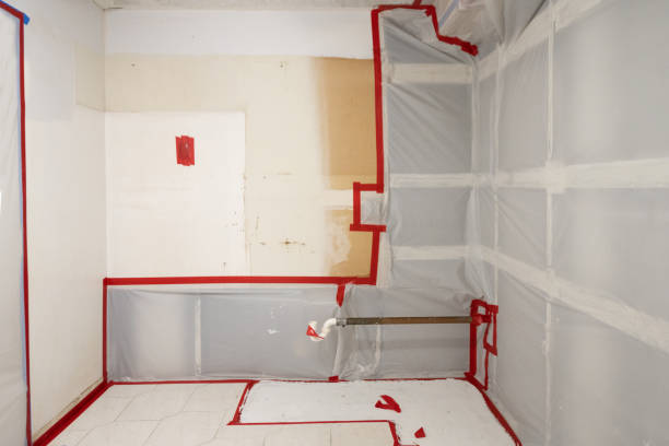 Best Airborne Mold Testing  in Hanover Park, IL