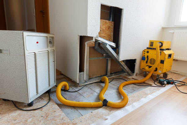 Best Attic Mold Removal  in Hanover Park, IL